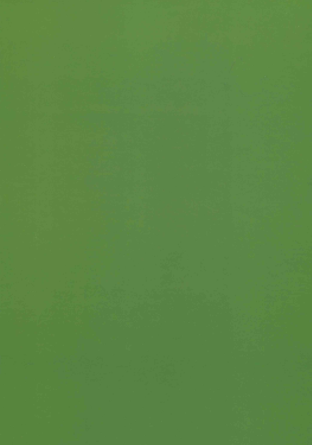 Namecha Dame page 2 full