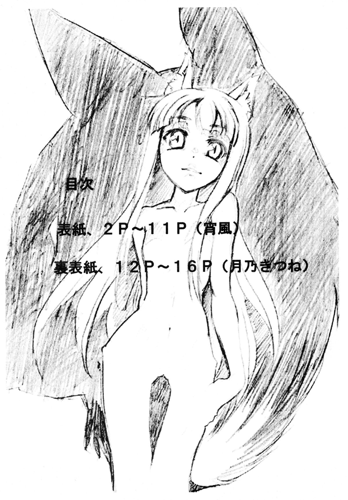 Ookami to Shuukakusai page 3 full