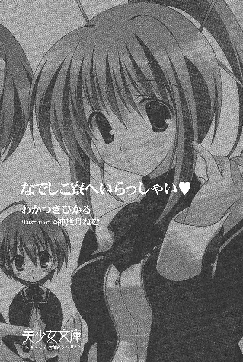 Nadeshiko Ryou e Irasshai page 3 full