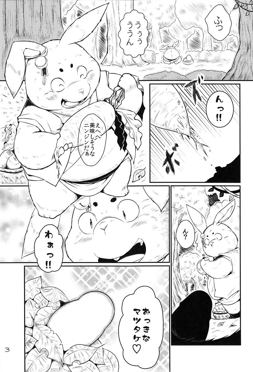 Usagi to Tanuki to Kimono no Hon Hana page 2 full