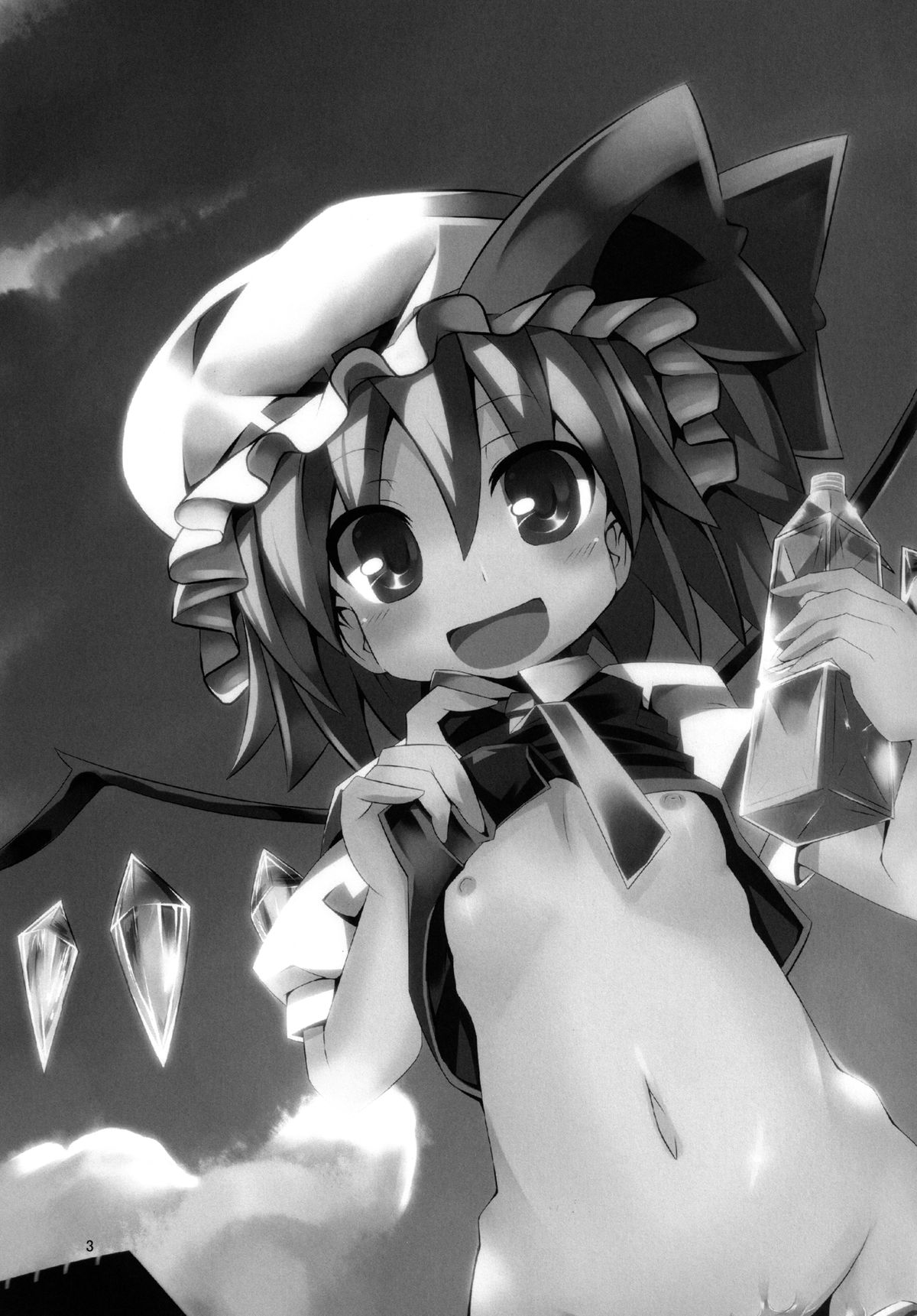 PETBOTTLER FLANDRE page 3 full