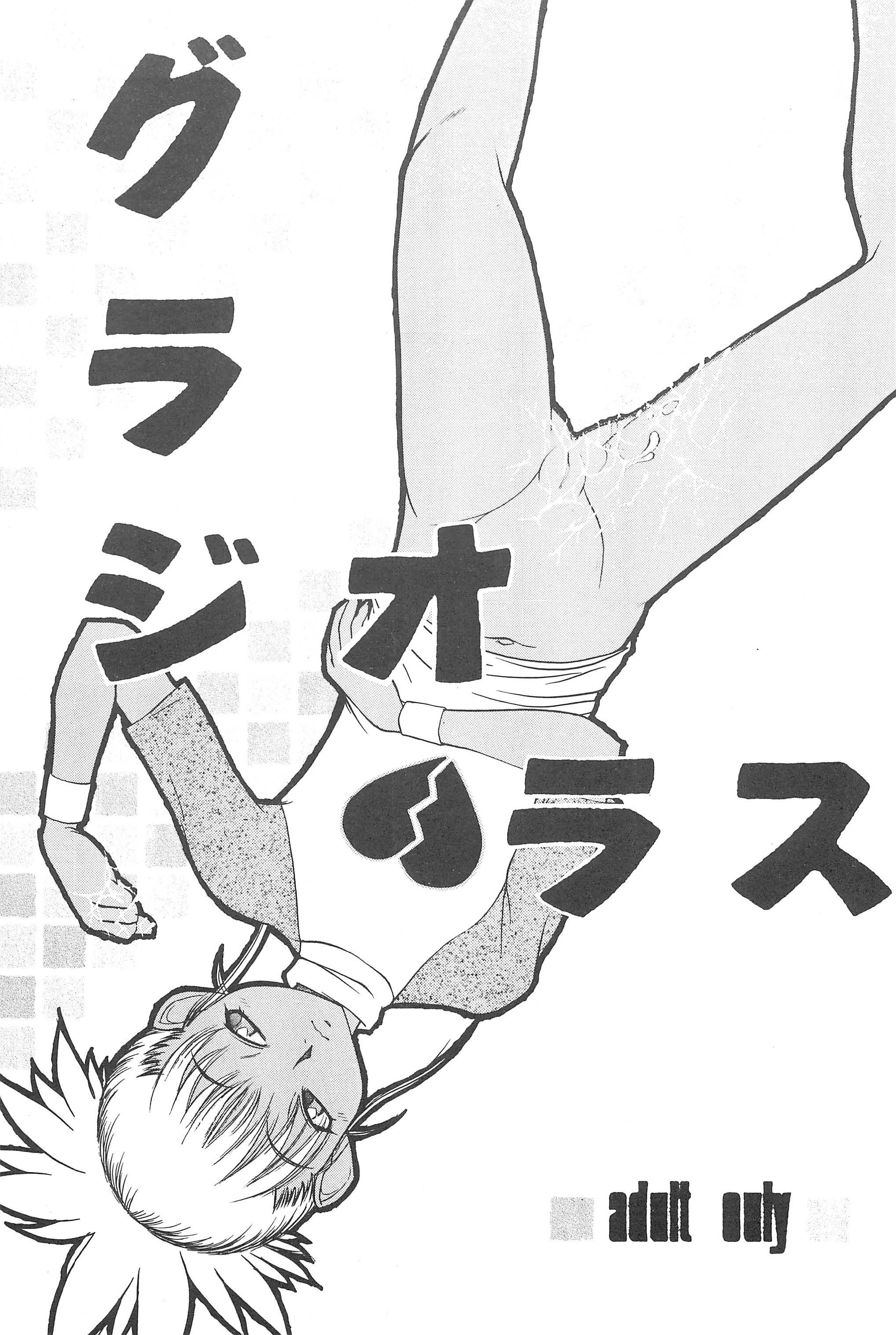 Gladiolas page 3 full