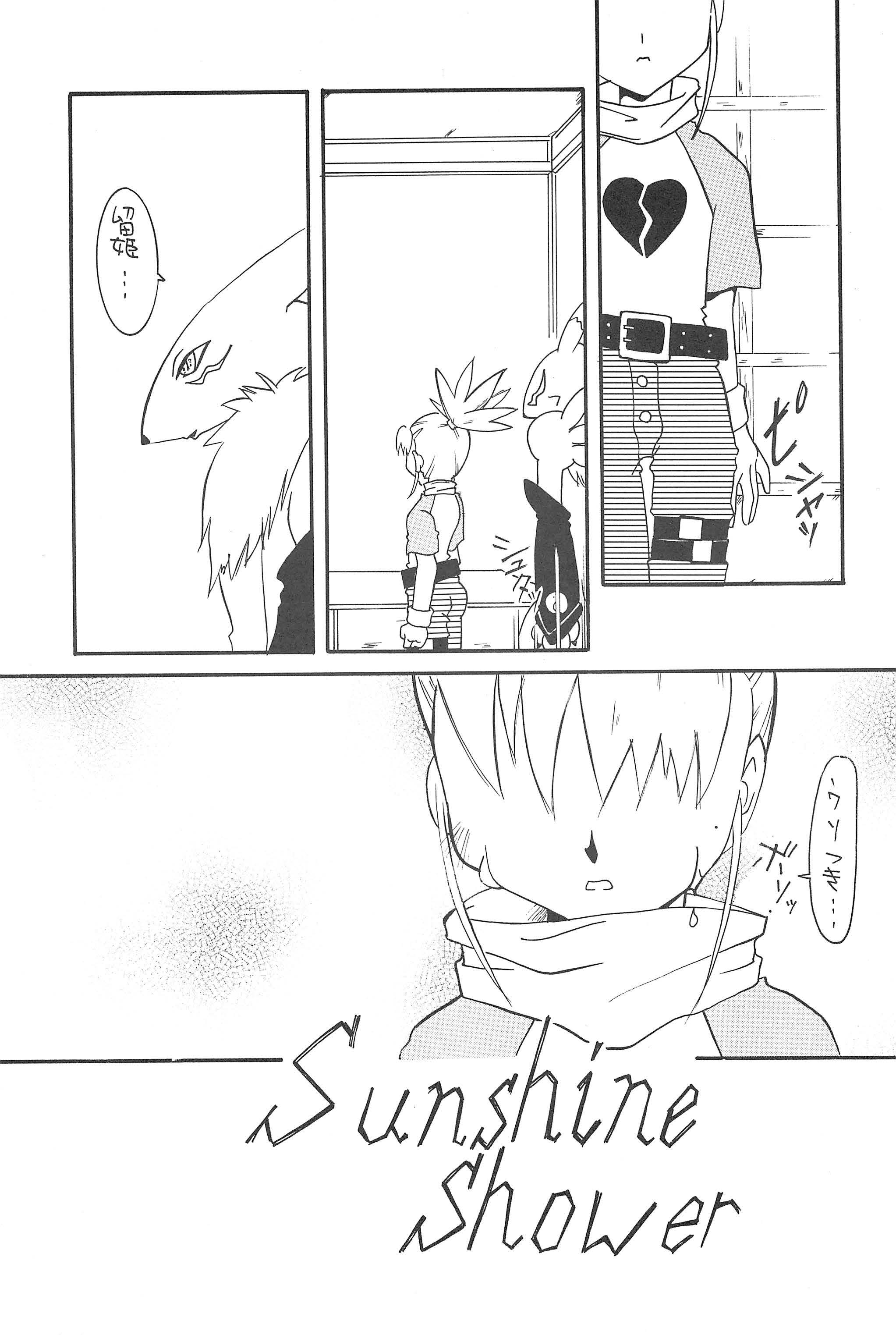 Gladiolas page 5 full