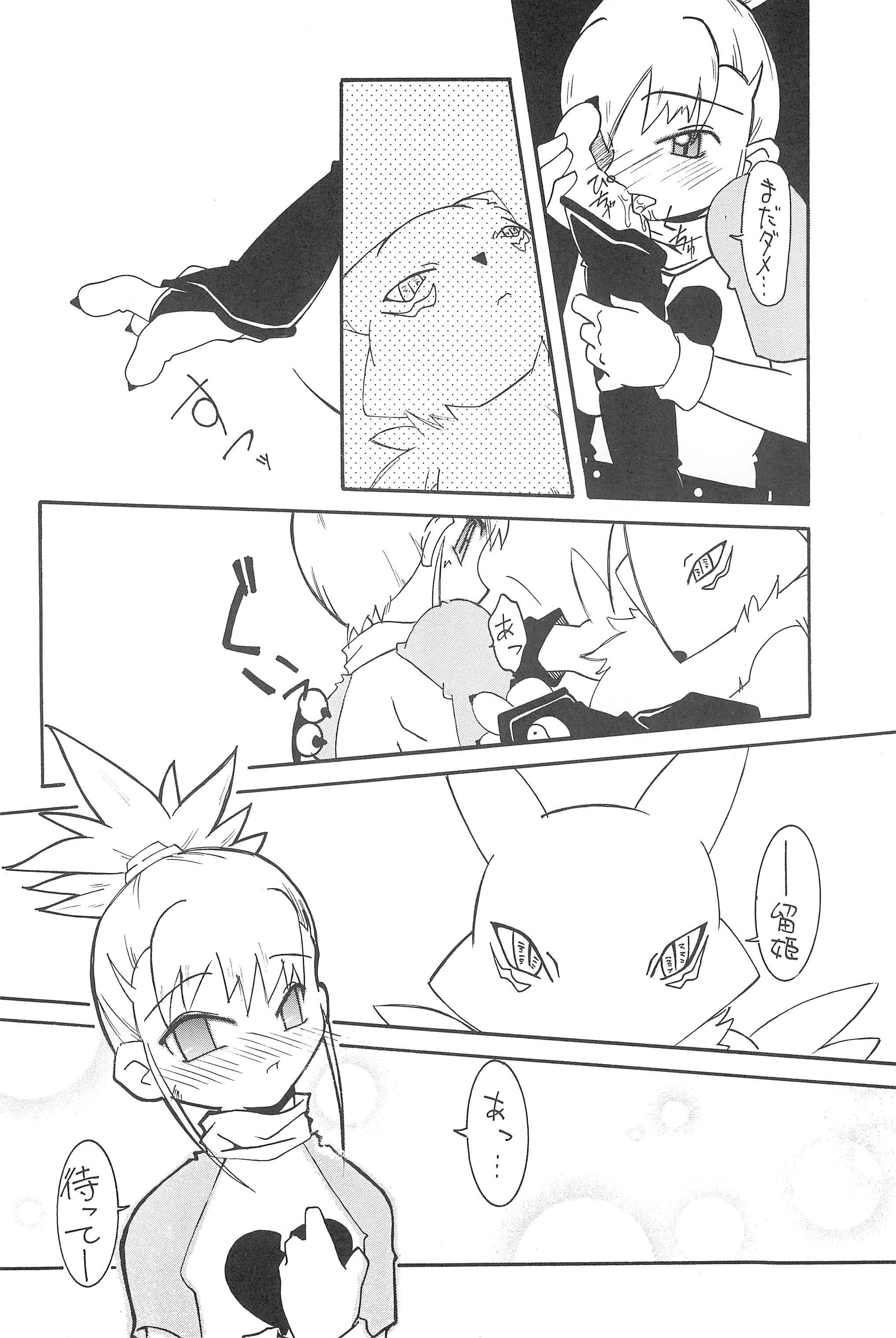 Gladiolas page 8 full