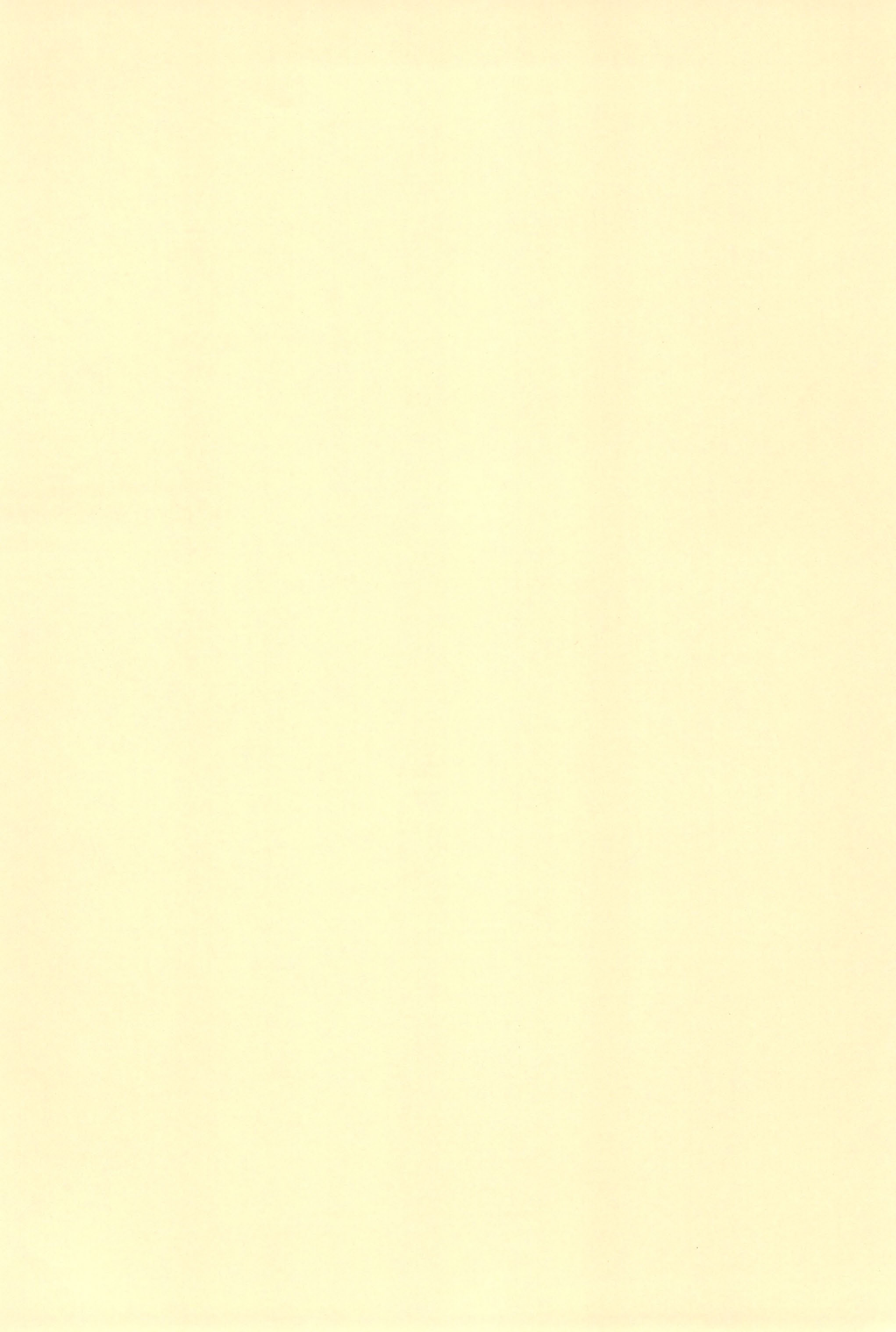 Noche to Gyuu to Otomodachi page 4 full