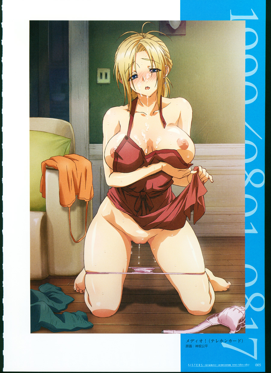 SISTERS ~ Natsu no Saigo no Hi ~ ULTRA EDITION Official Funbook 1990/0801-0817 page 10 full