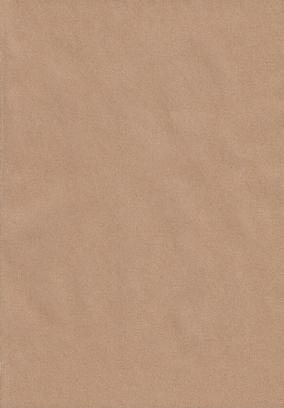 Matamata Cat page 2 full