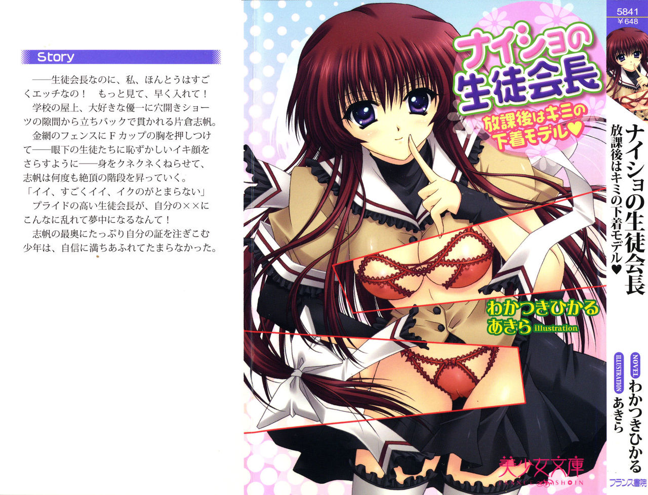 Naisho no Seitokaichou - Houkago wa Kimi no Shitagi Model page 2 full