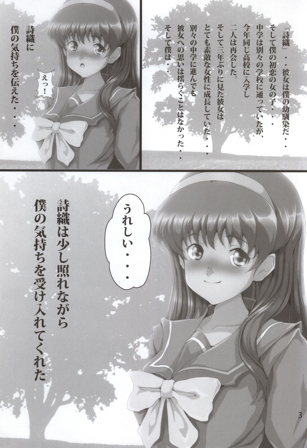 NETORARE MEMORIAL page 2 full