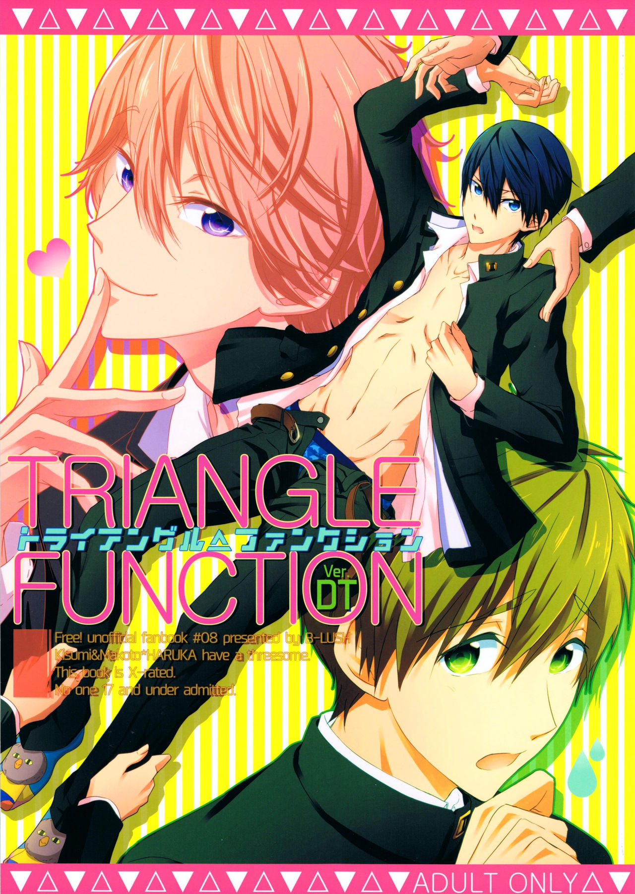 TRIANGLE FUNCTION ver. DT page 1 full