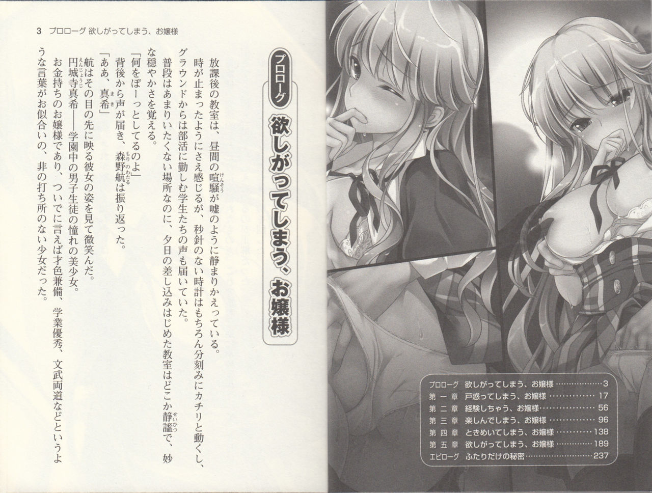 【Kyougaku】Tsuntsun na Ojou-sama ni Chikan shita Kekkawww page 4 full