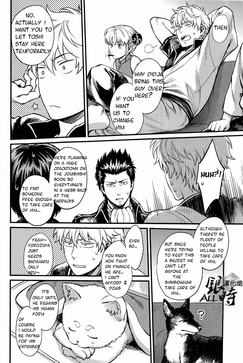 HOW to SPOIL YOUR DOG page 10 full