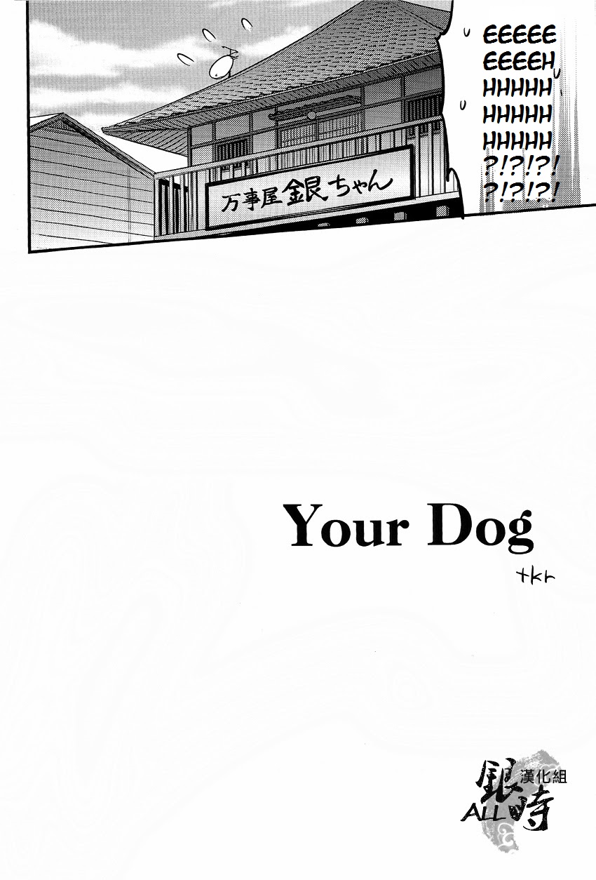 HOW to SPOIL YOUR DOG page 8 full