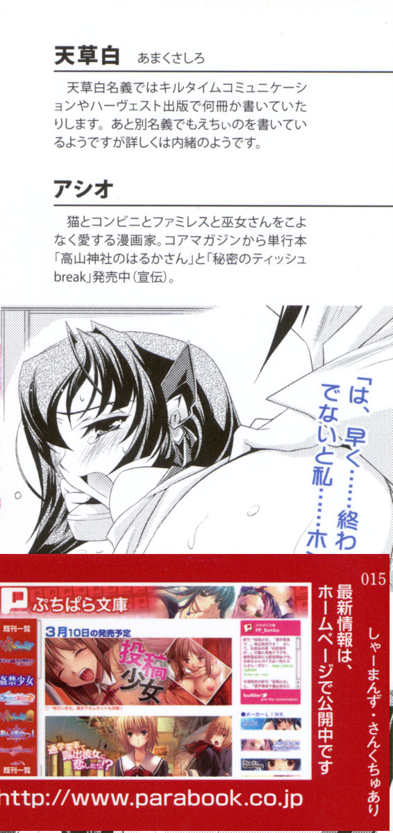 Shaman's Sanctuary -Miko no Seiiki- page 4 full