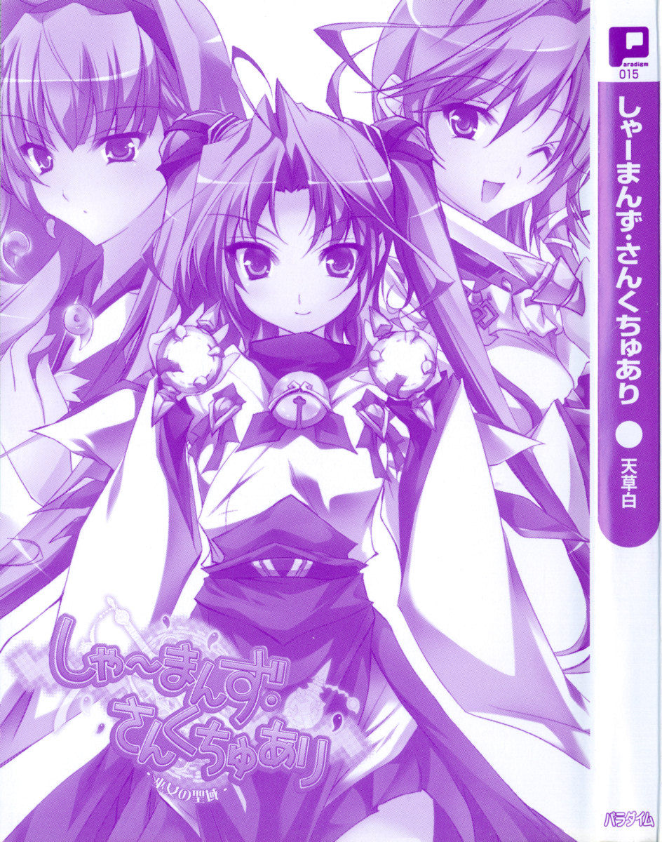 Shaman's Sanctuary -Miko no Seiiki- page 9 full