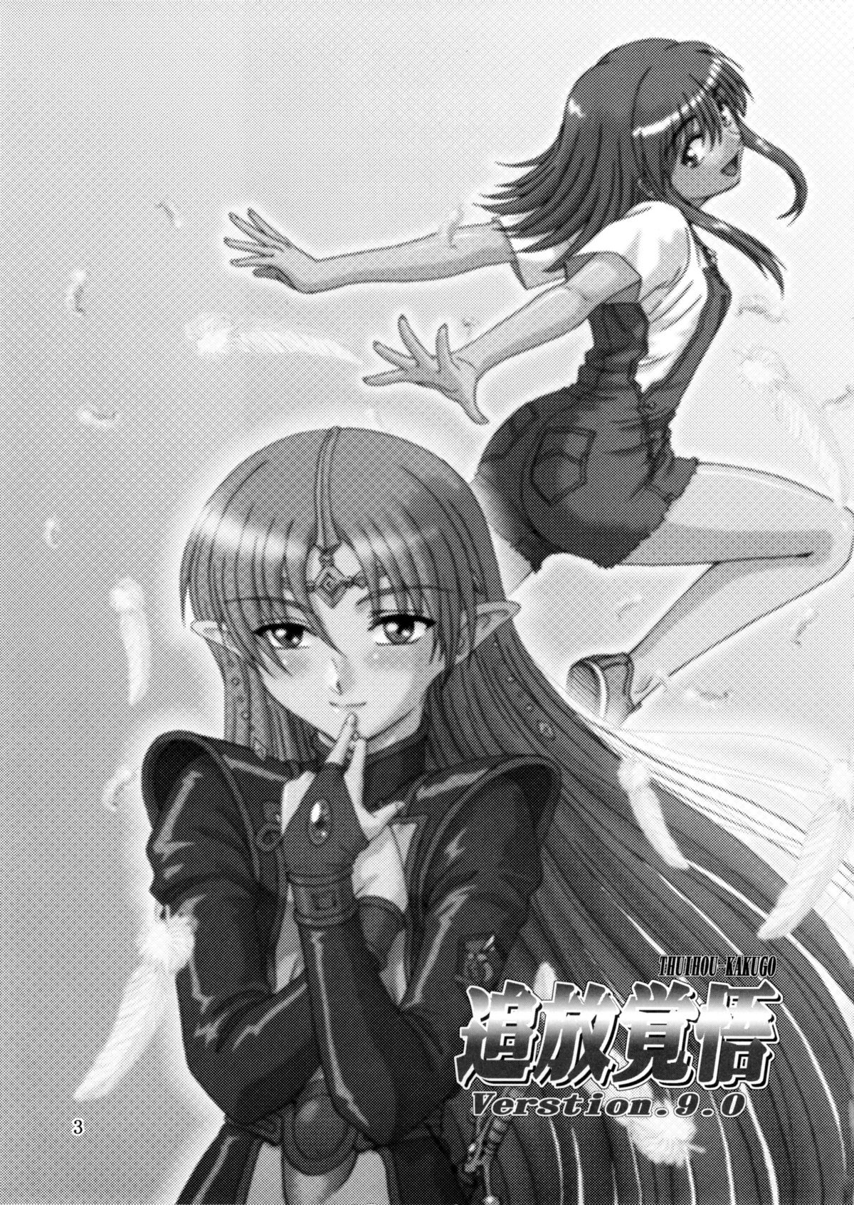 Tsuihou Kakugo Ver.9.0 page 3 full