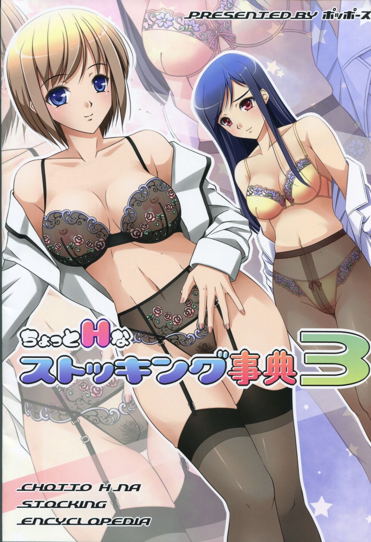 Chotto H na Stocking Jiten 3 page 1 full