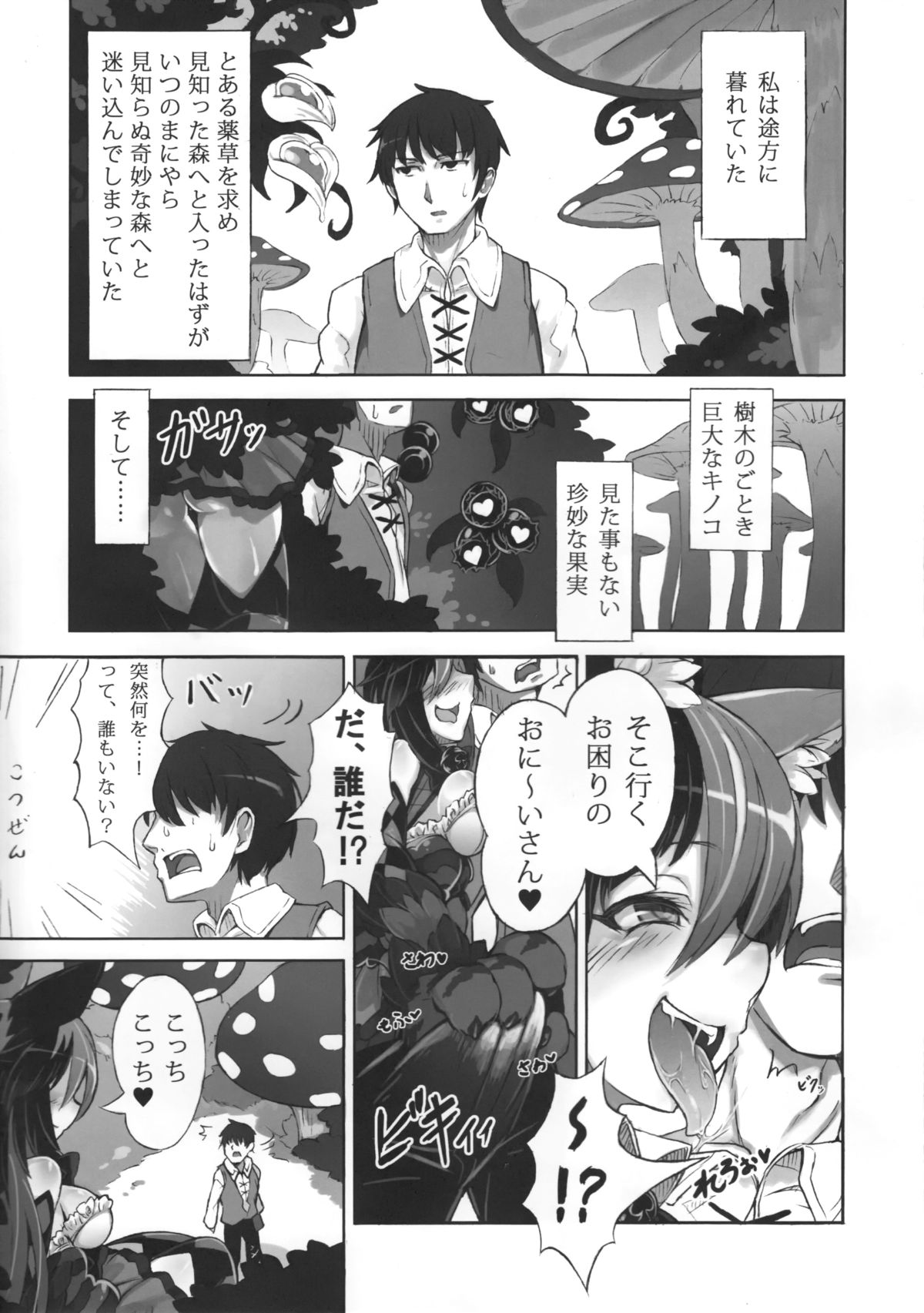 Mamono Musume Zukan Higai Houkoku ~Cheshire Neko no Oidemase Fushigi no Kuni~ page 4 full