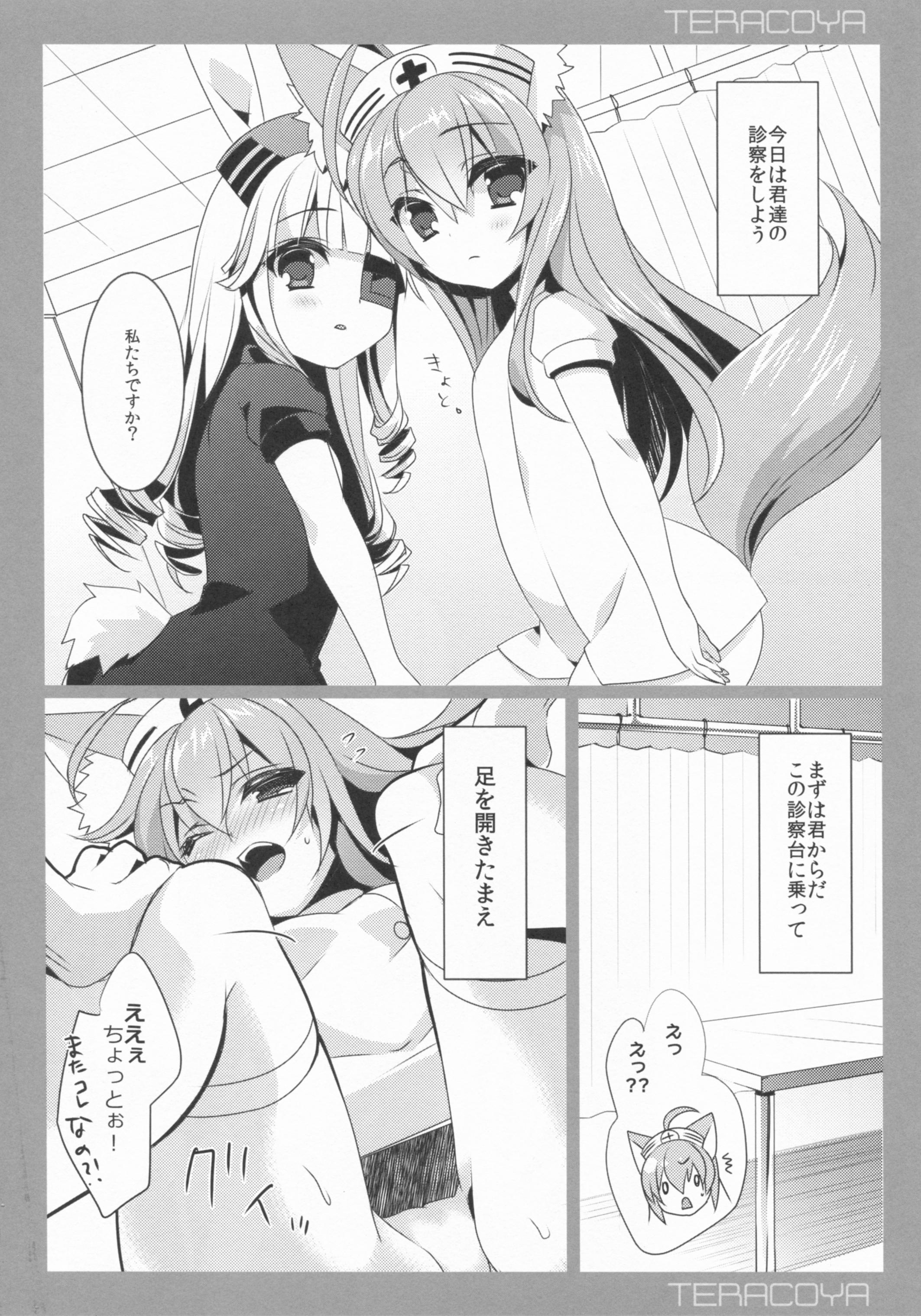 TERACOYA6 page 3 full