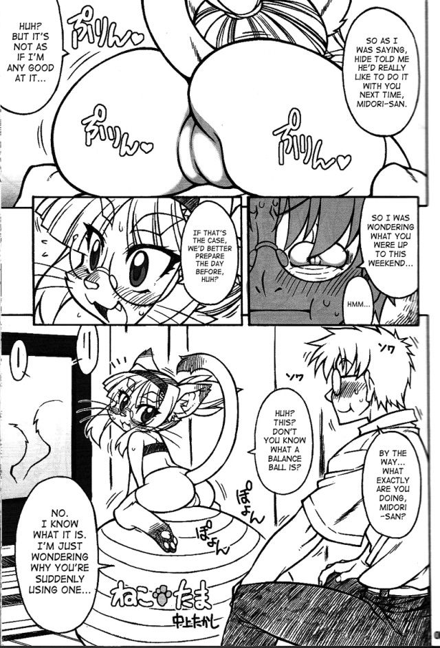 Neko Tama | Midori's Neko Kano 2 page 2 full