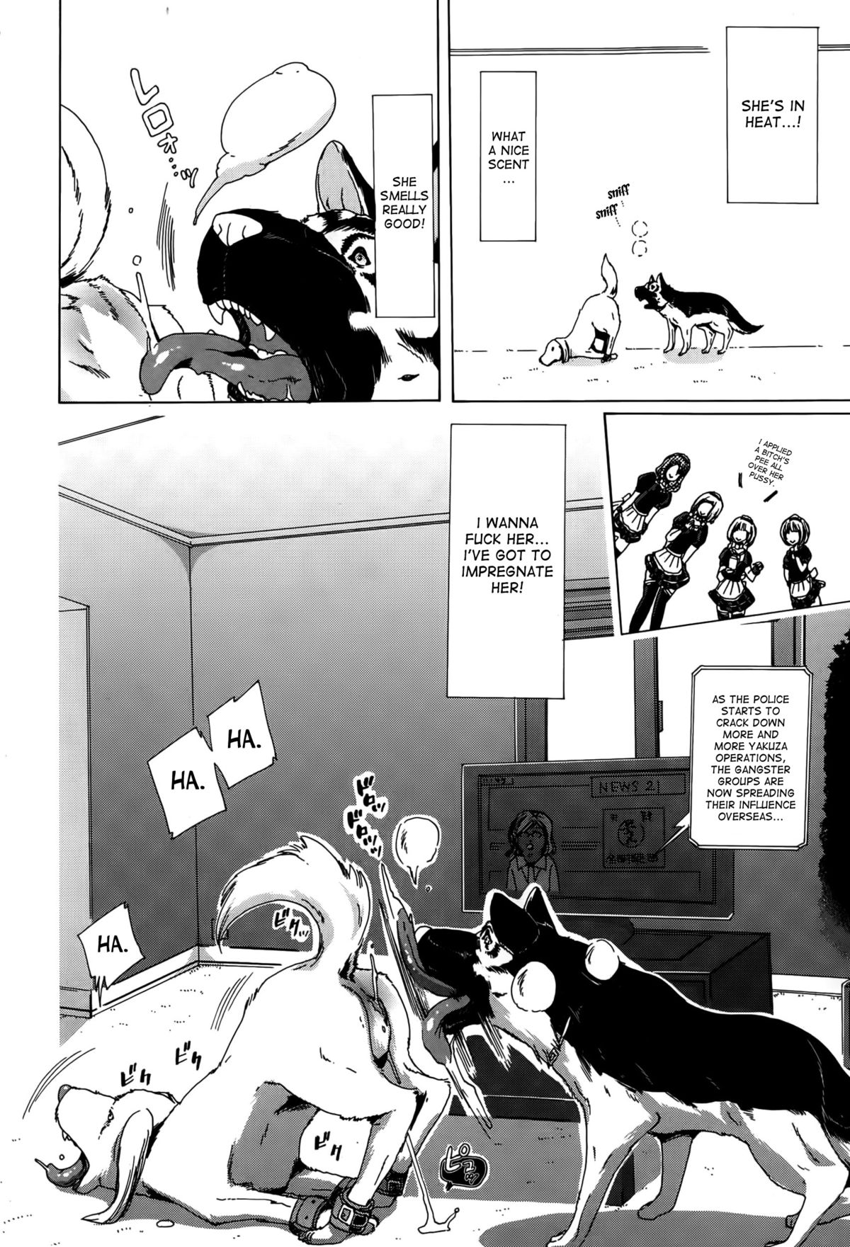 Jyukan Hitozuma Kasumi <Zenin Choukyouzumi> | Bestiality Rape Housewife Kasumi <Everyone is Fully Trained> page 6 full