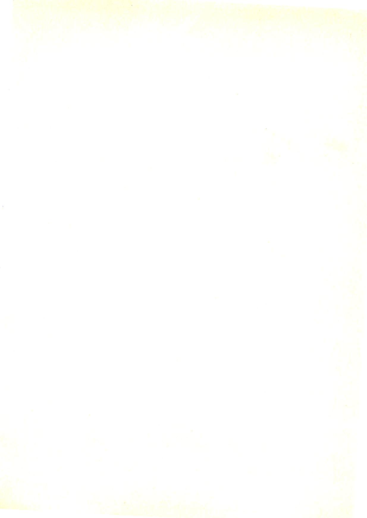 Weird Hunter - Jikuu Youjutsusho no Nazo page 3 full