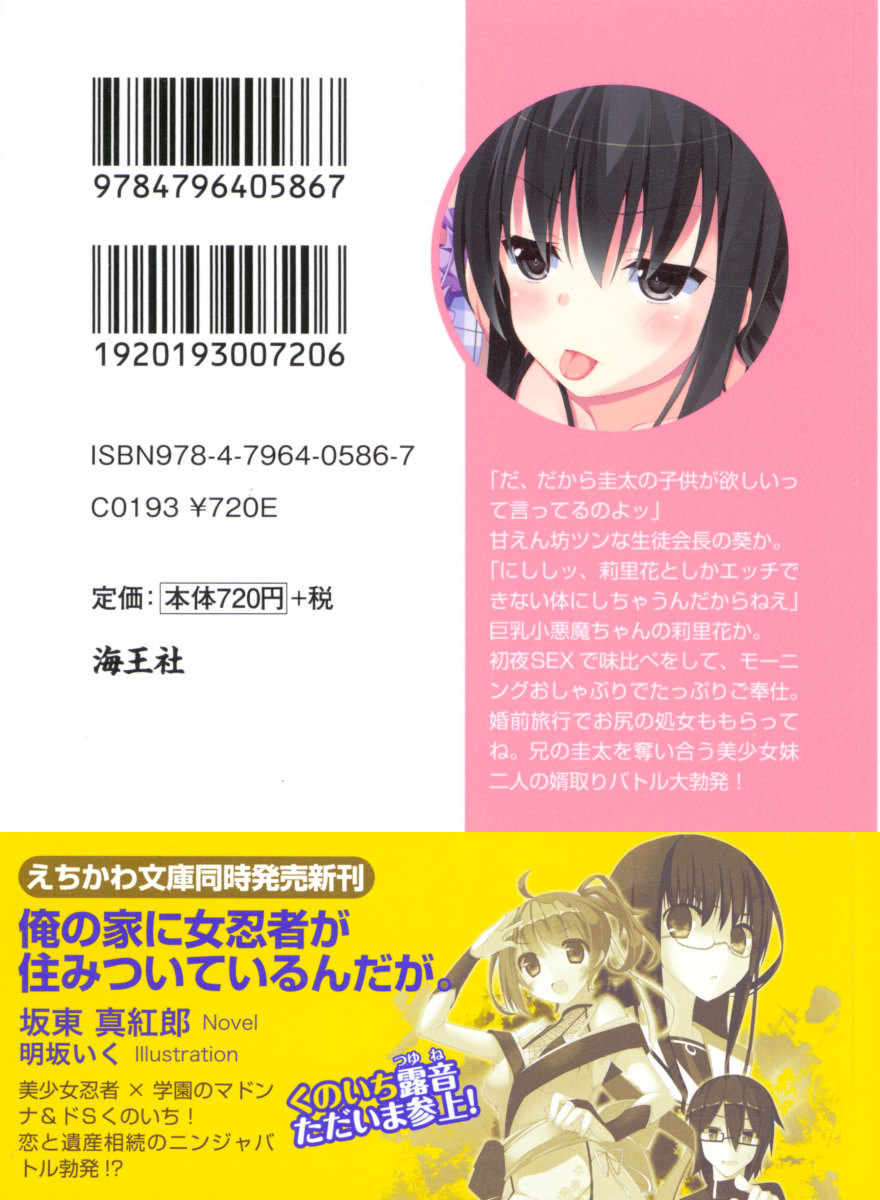 Amaenbo Tsun na Seitokaichou to Kyonyuu Koakuma no W Imouto ga Ore o Mukotori Battle Chuu page 3 full