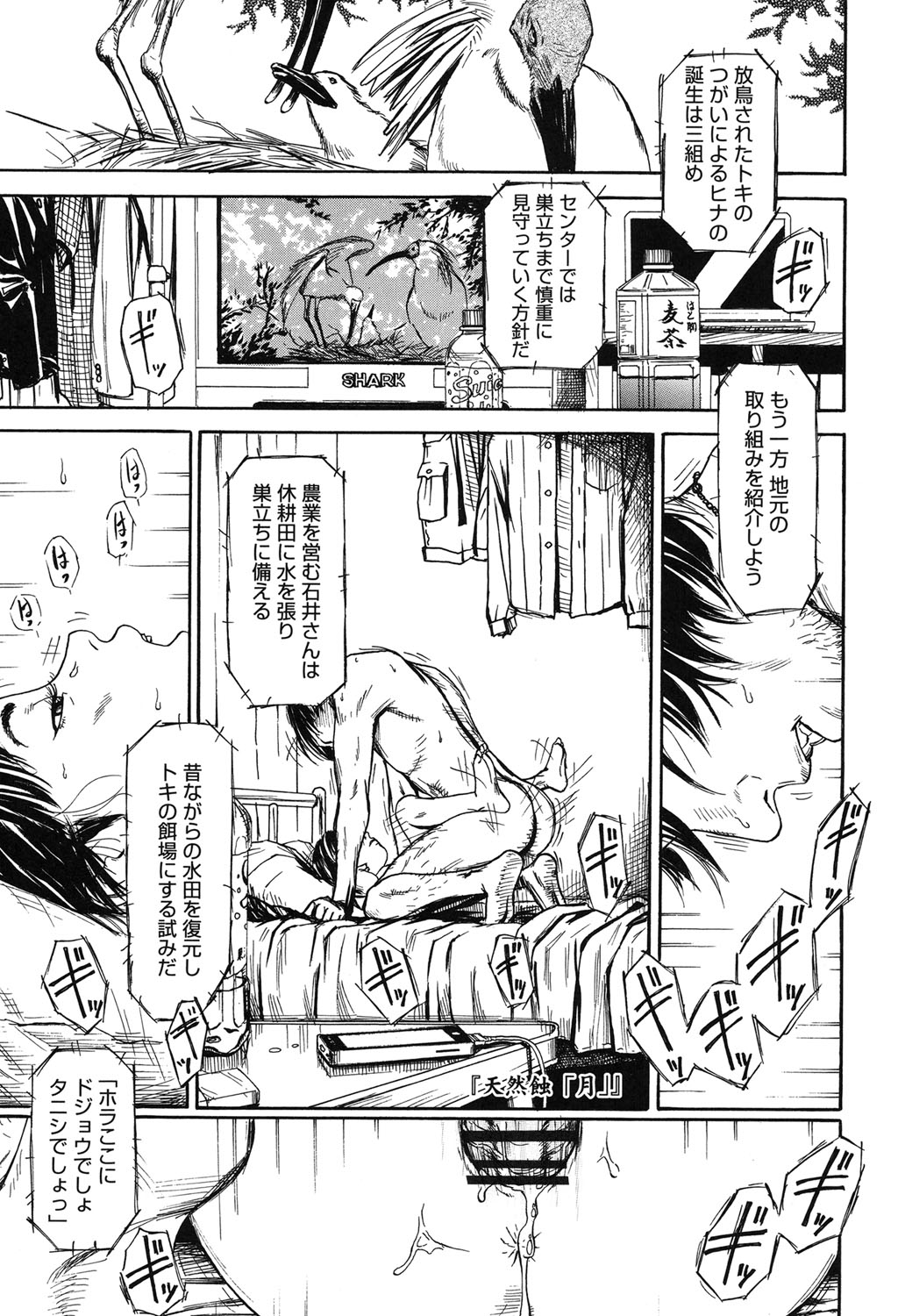 Shofu Hakkei page 5 full
