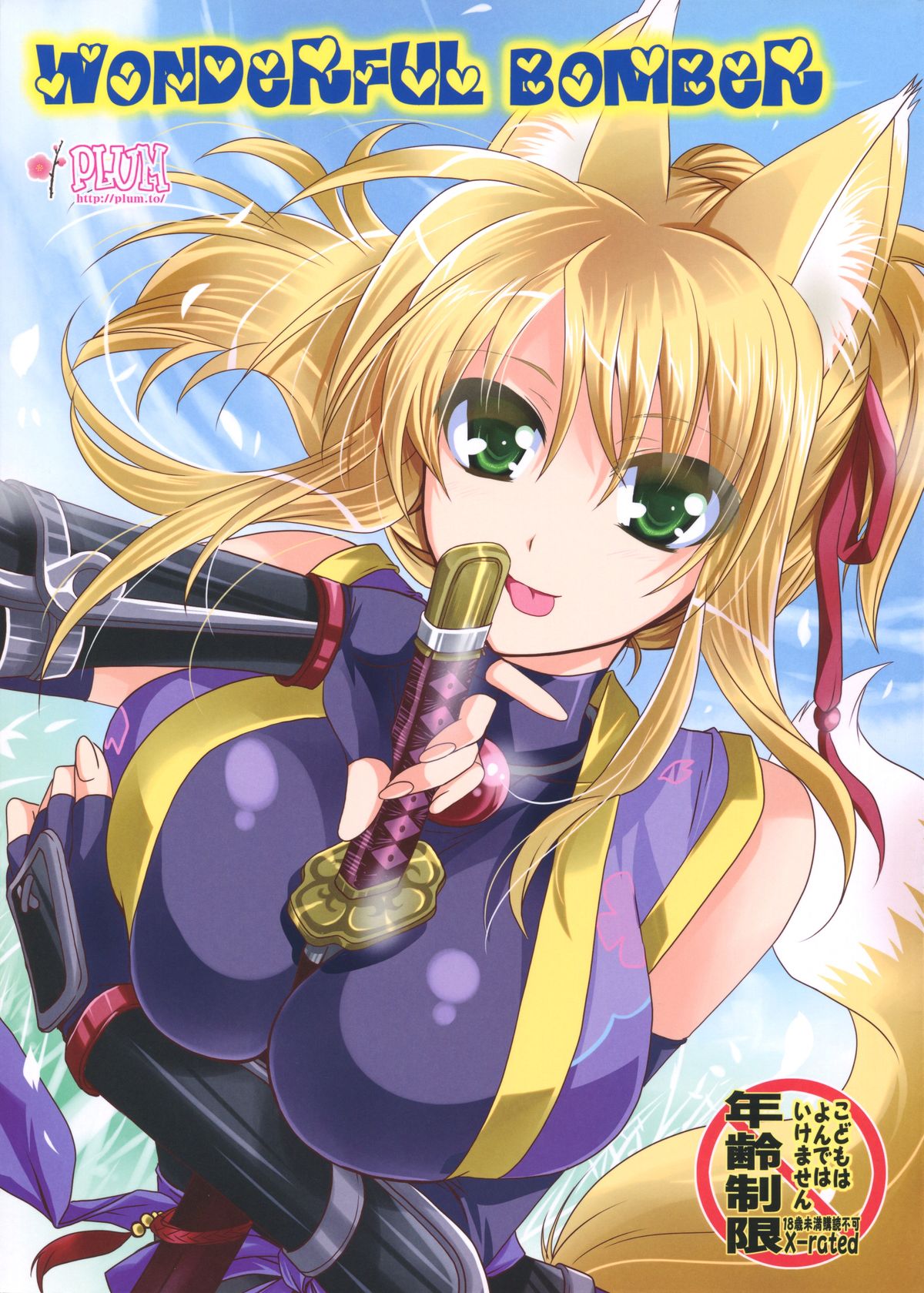 Wonderful Bomber page 1 full