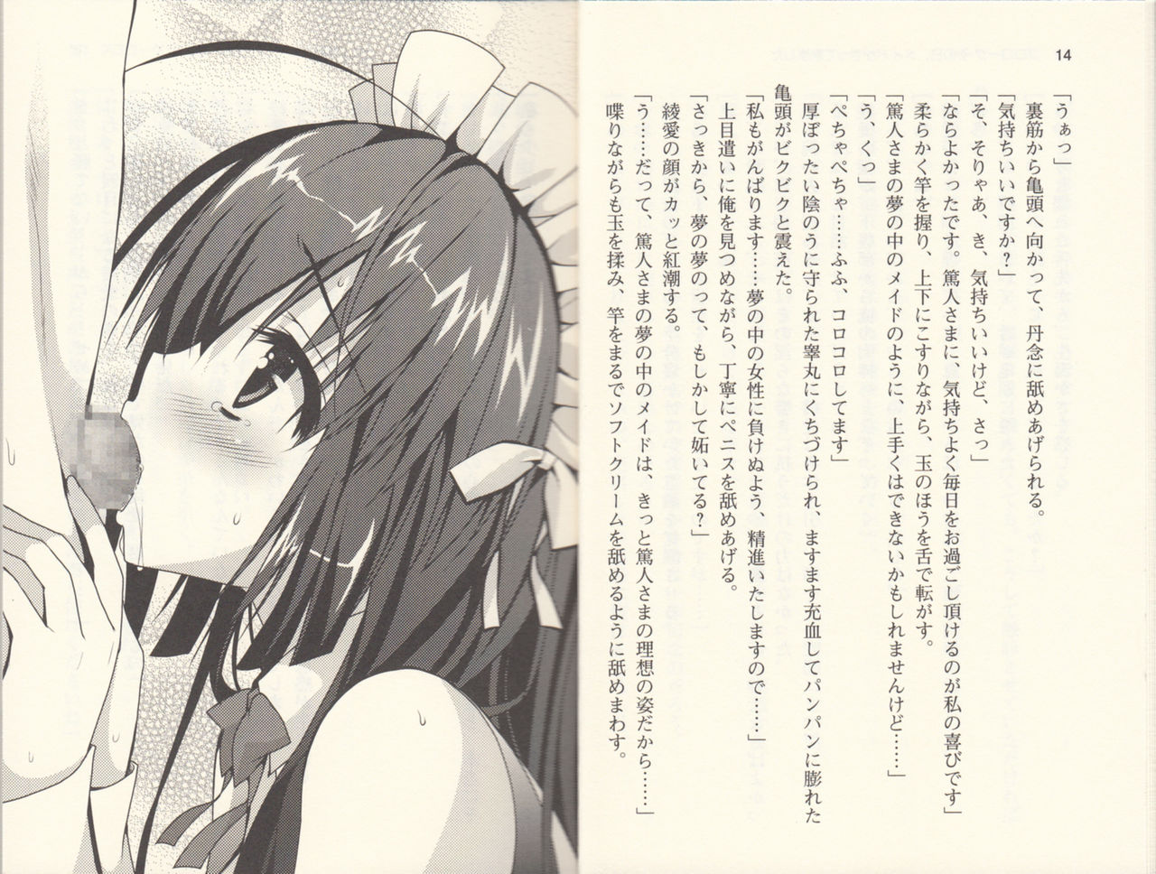 Gohoushi Maid wa Seishori Jouzu "Anata no Iu Koto nara Nandemo Kikimasu!" page 10 full