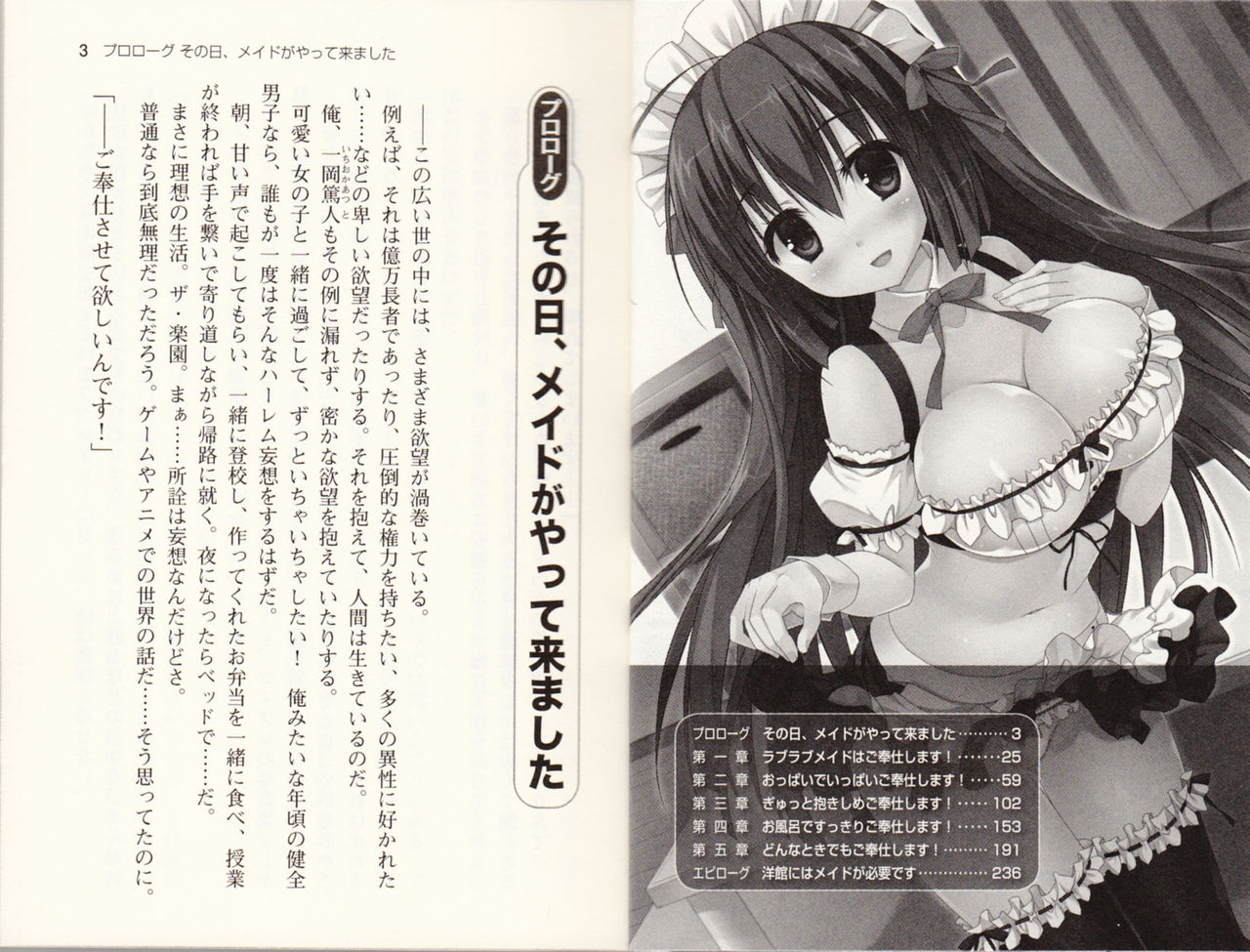 Gohoushi Maid wa Seishori Jouzu "Anata no Iu Koto nara Nandemo Kikimasu!" page 4 full