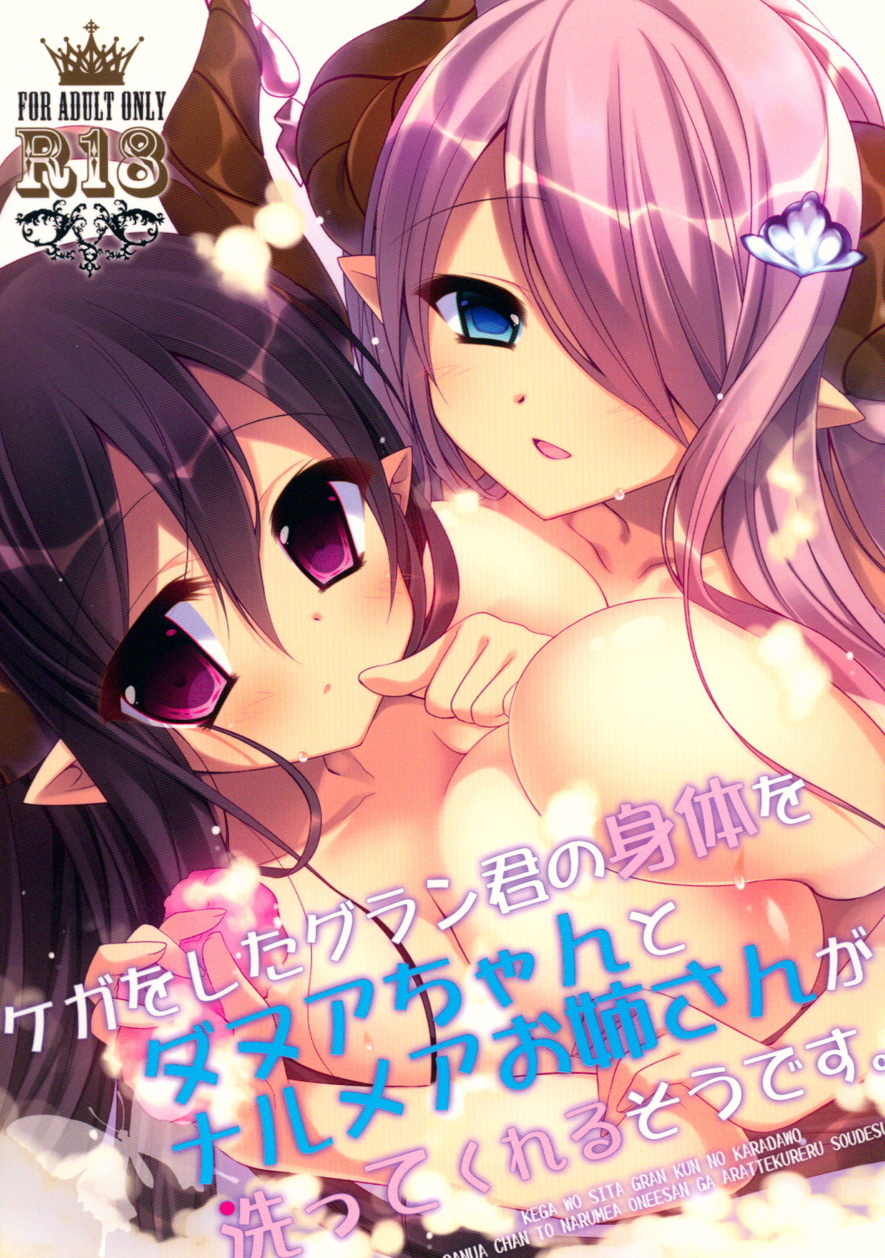 Kega o Shita Gran-kun no Karada o Danua-chan to Narumea Onee-san ga Aratte Kureru Sou desu. page 1 full