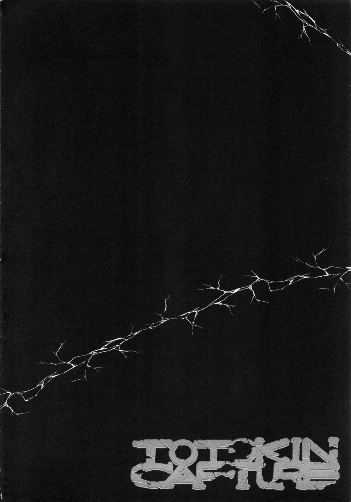 TOTOKIN CAPTURE page 3 full