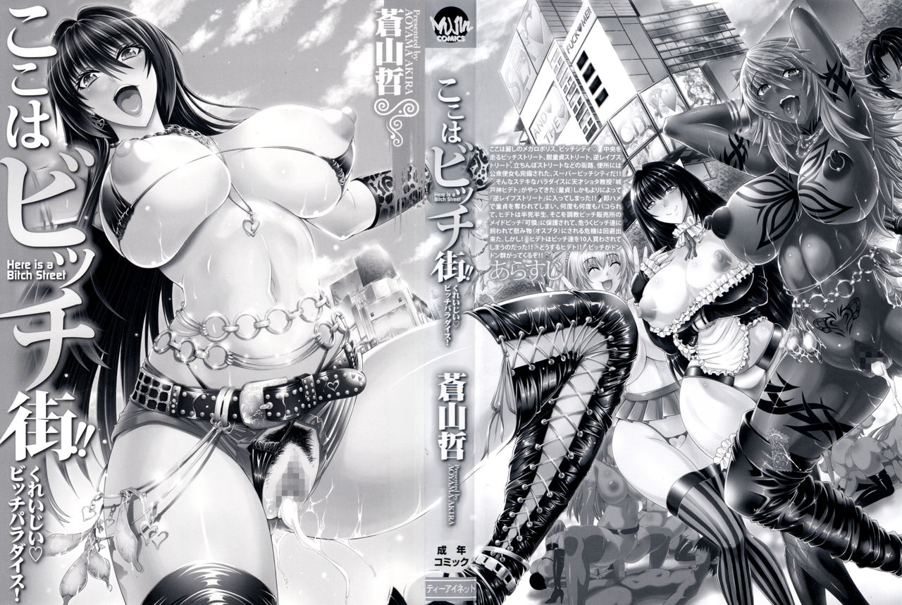 Koko wa Bitch gai!! - Here is a Bitch Street page 4 full