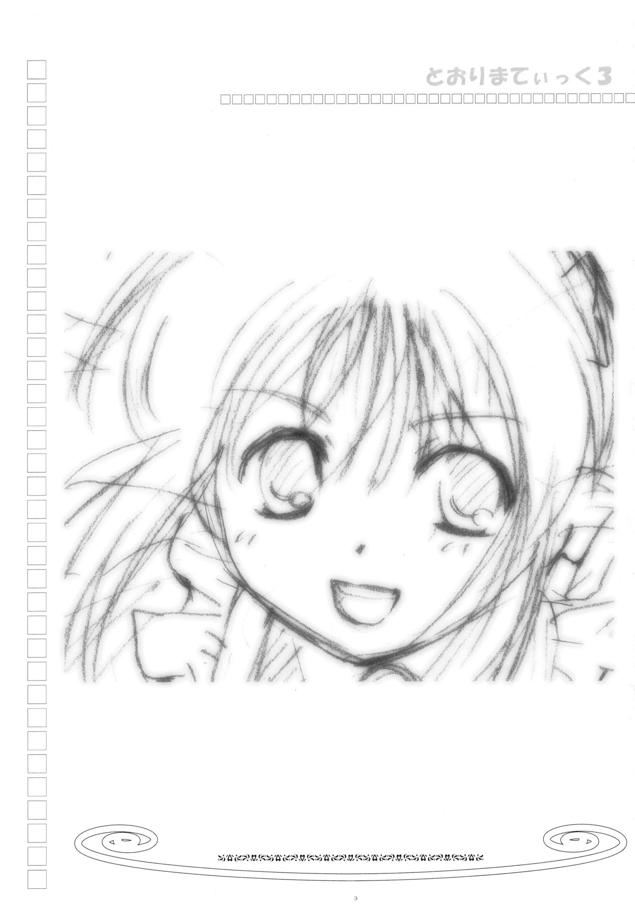 Toorimatic 3 page 2 full