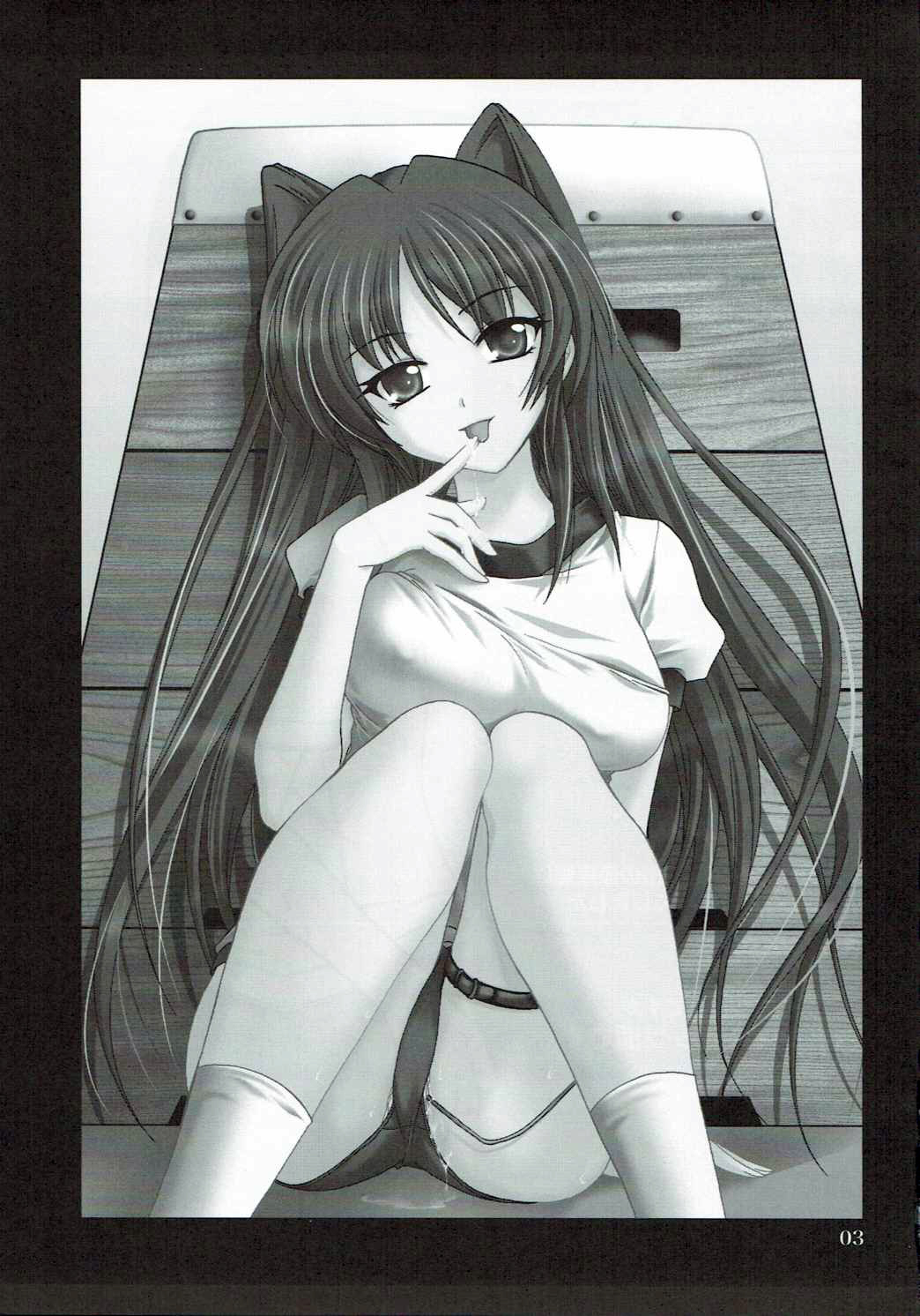 Abareneko no Shitsukekata 2 page 2 full