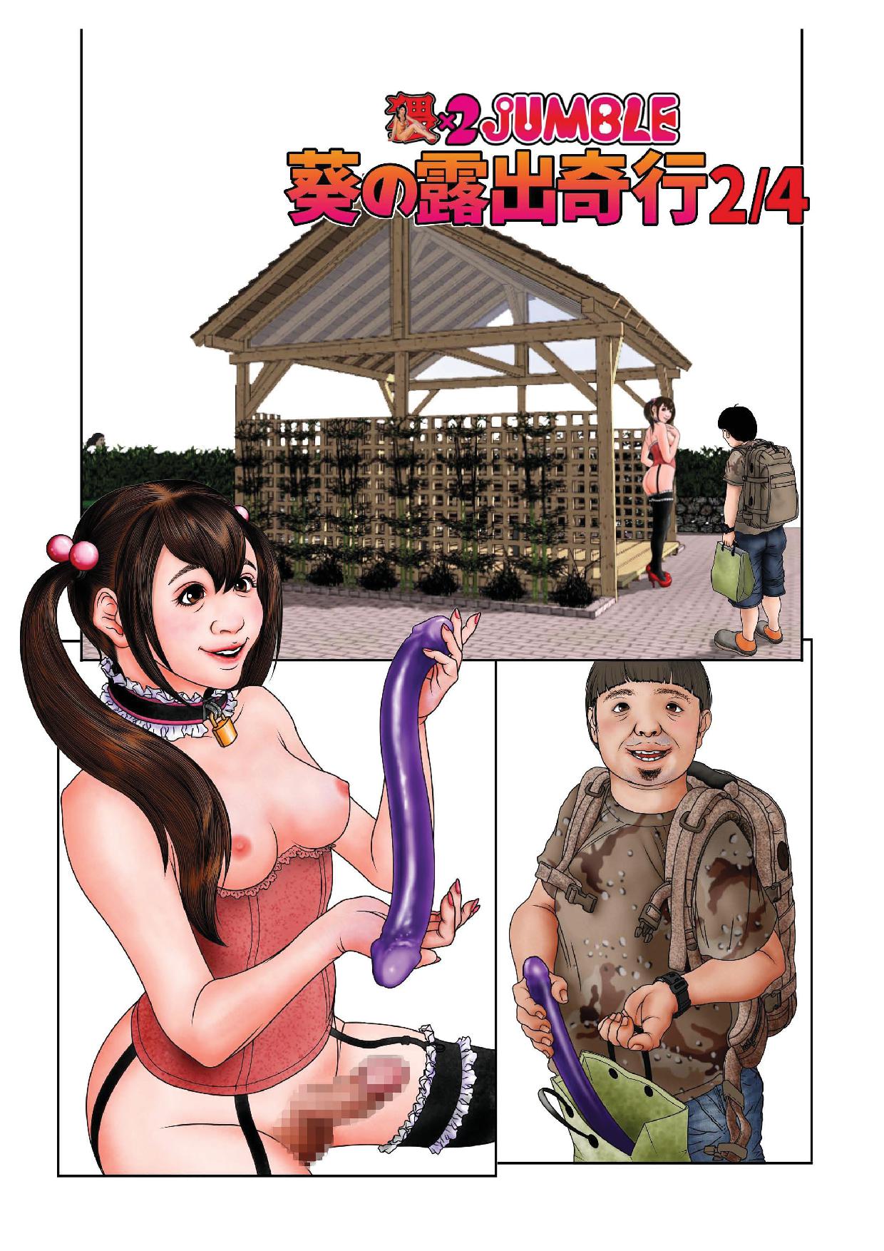 Aoi no Roshutsu Kikou 2/4 page 5 full