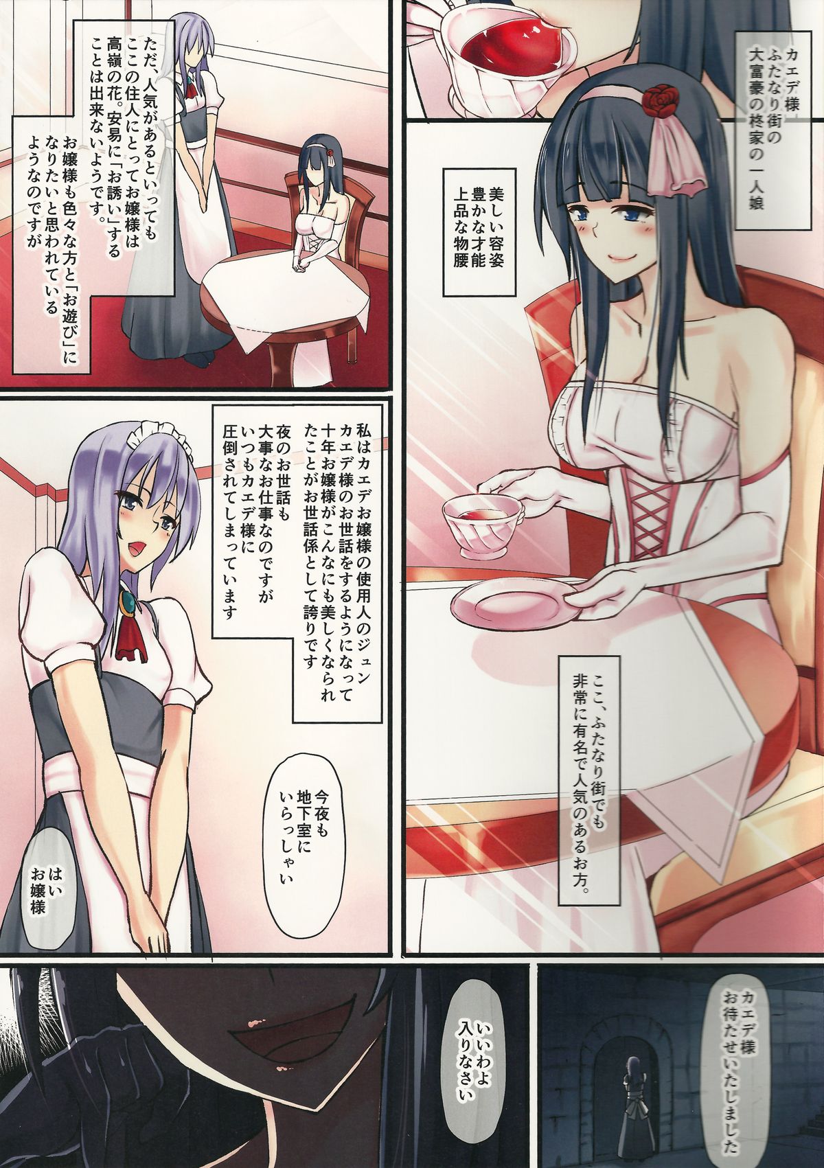 Ojou-sama to Shiyounin page 3 full