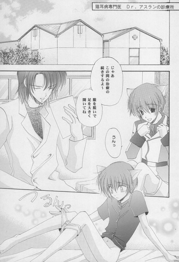 Nekomimi Zouryouchuu page 6 full