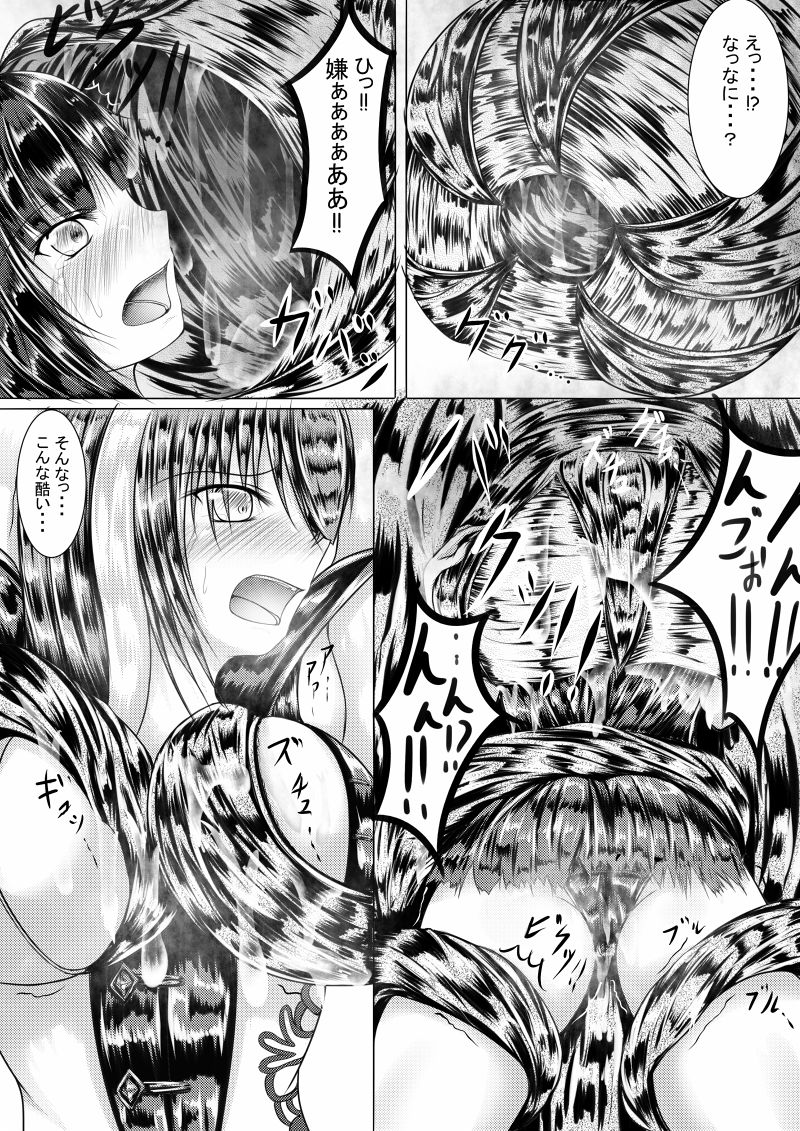 Shadowverse no Hon page 4 full