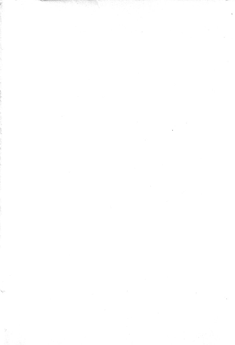 Okini Mesumama page 4 full