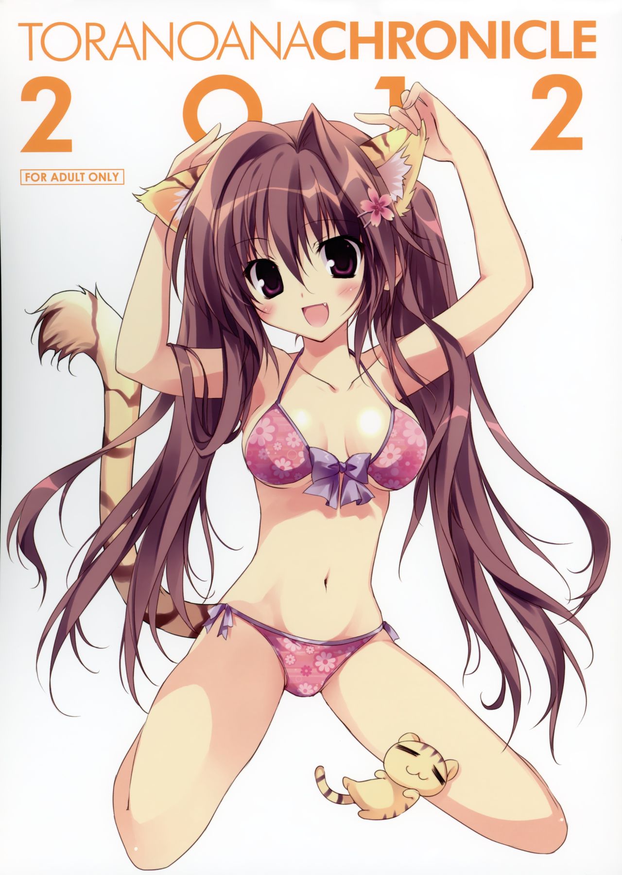 Toranoana Chronicle 2012 page 1 full