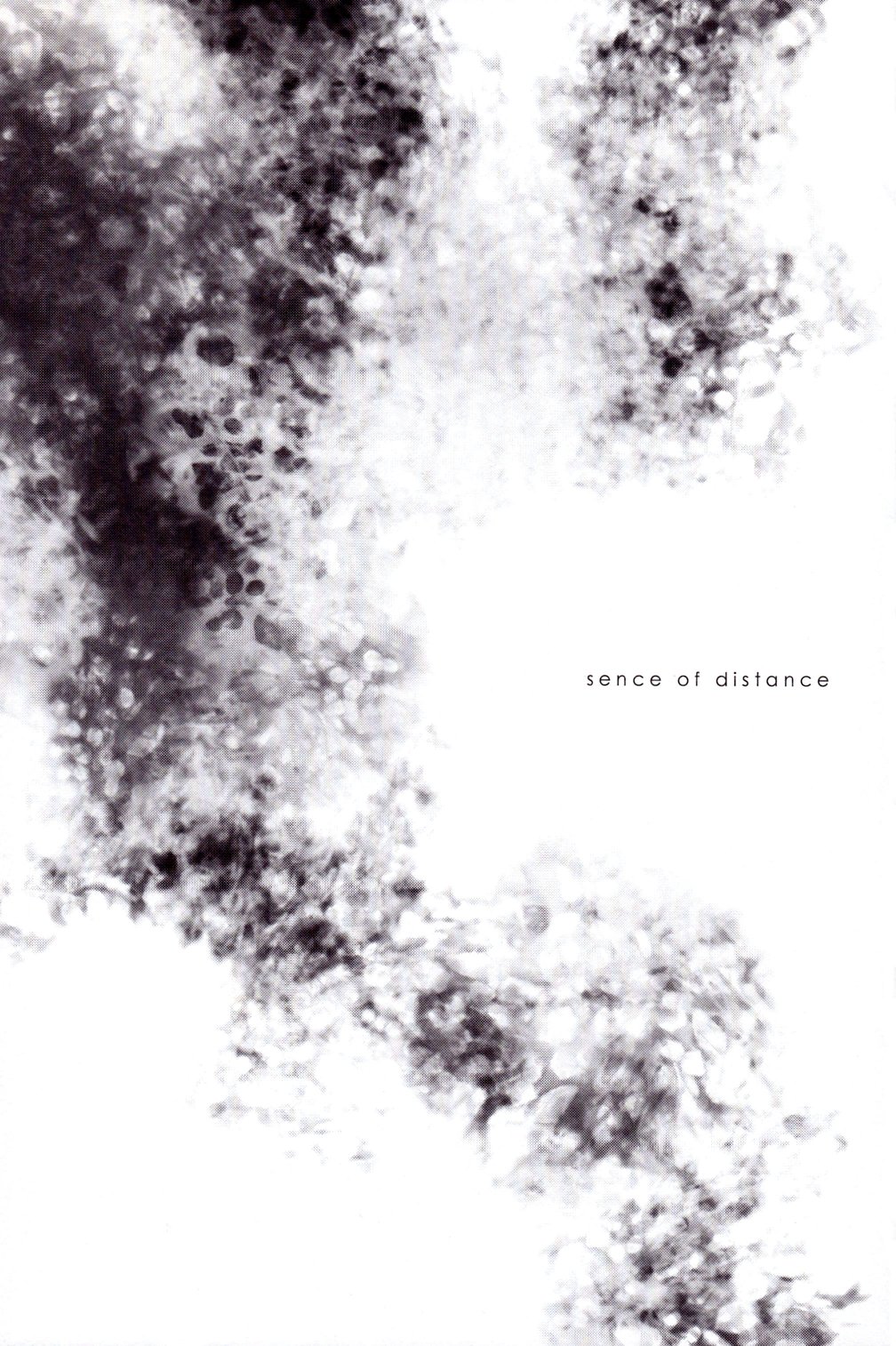 sence of distance page 4 full