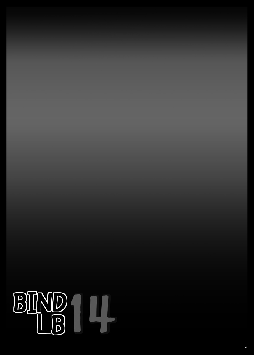 BindLB14 page 3 full