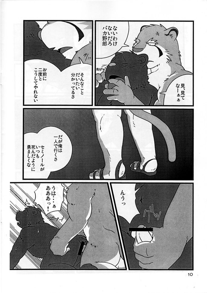 Pictograph in preprint page 9 full