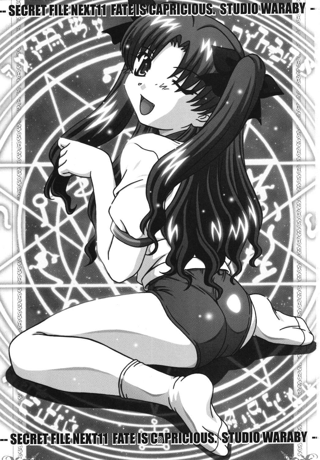 SECRET FILE NEXT 11 - Fate is capricious page 2 full