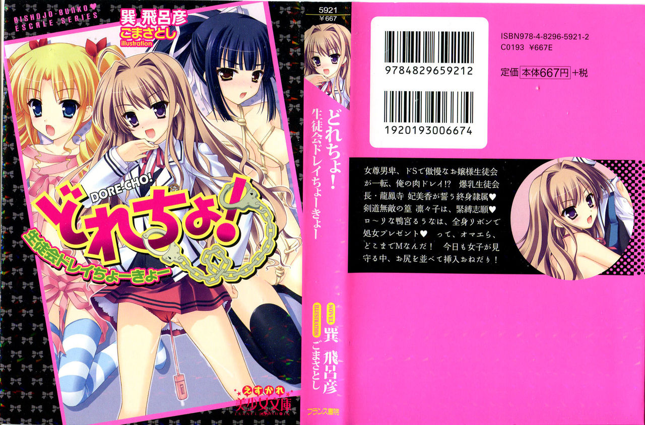 Dore-cho! Seitokai Dorei Choukyou page 1 full