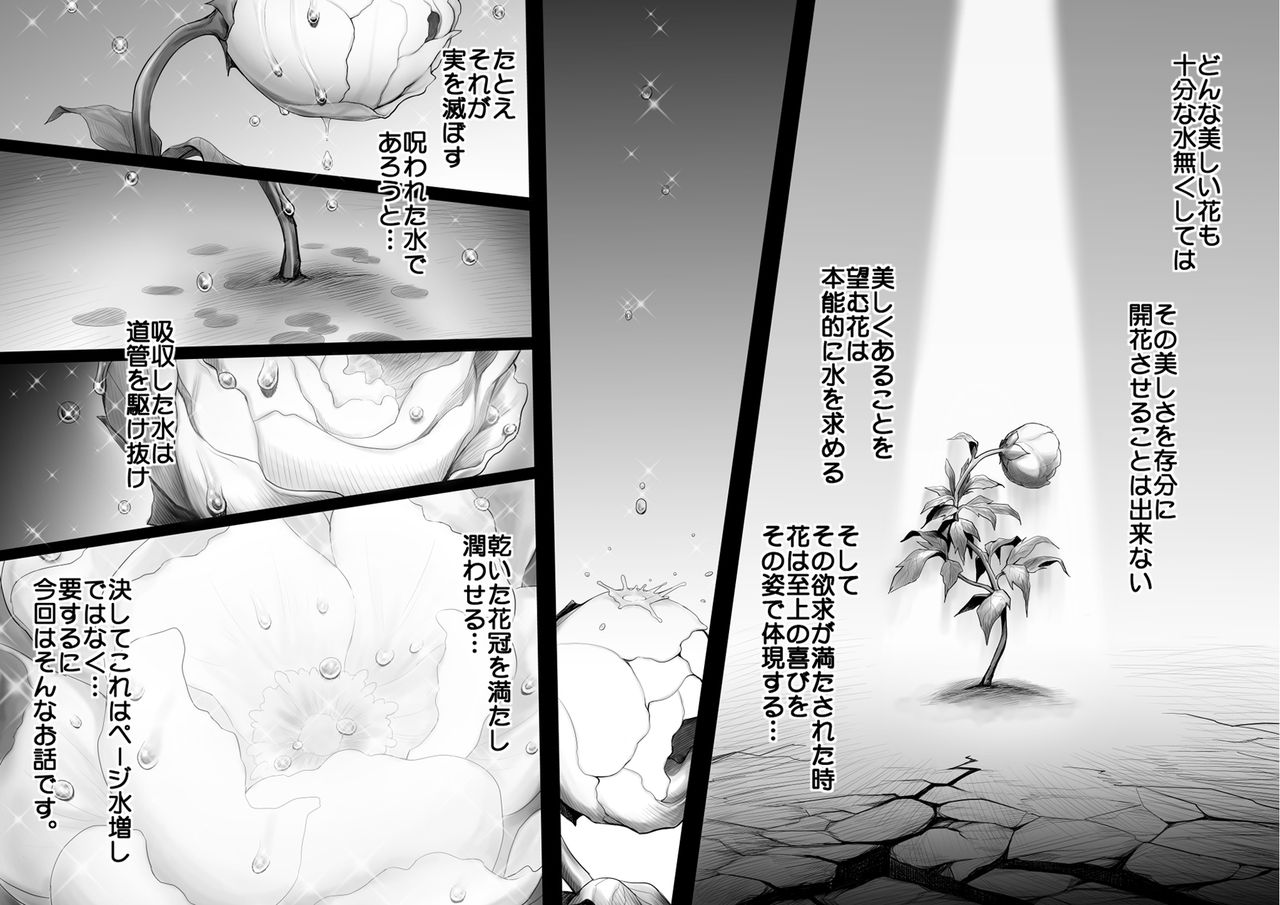 RINJIN IS page 2 full