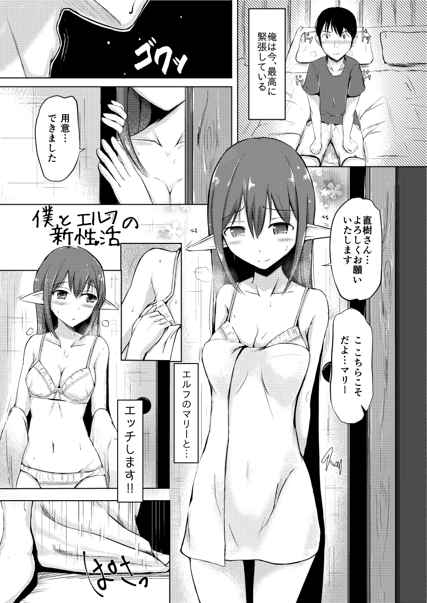 僕とエルフの新性活 page 3 full