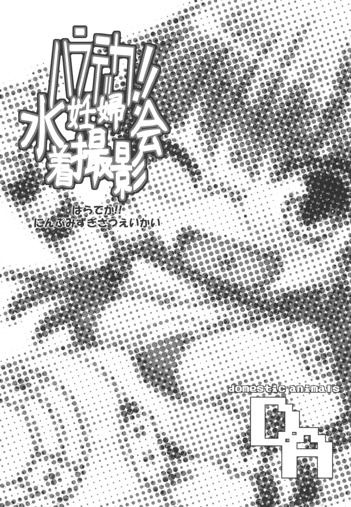 Haradeka!! Ninpu Mizugi Satsueikai page 3 full